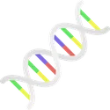 X-ray Icon